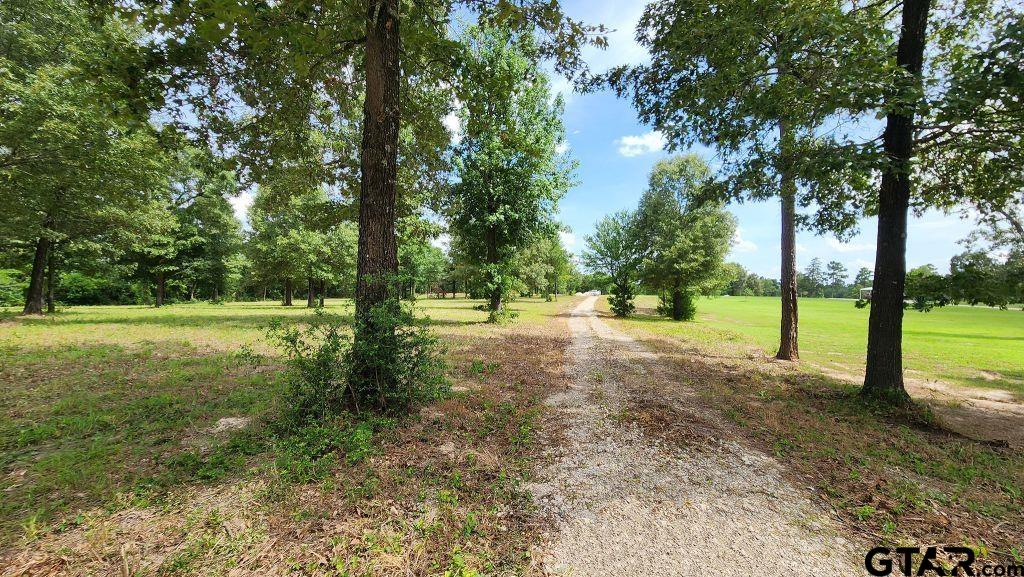 151 Bluewood Rd Property Photo 5