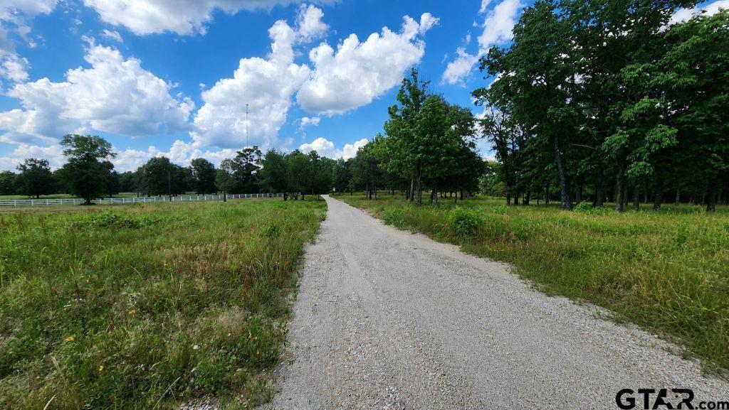 151 Bluewood Rd Property Photo 6