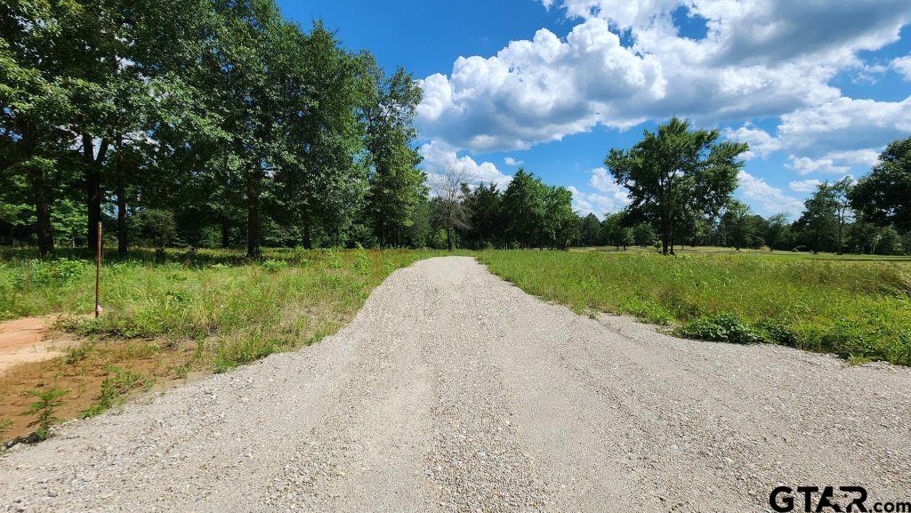 151 Bluewood Rd Property Photo 7