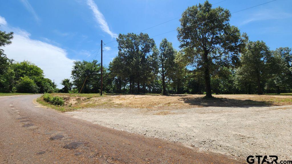 151 Bluewood Rd Property Photo 12