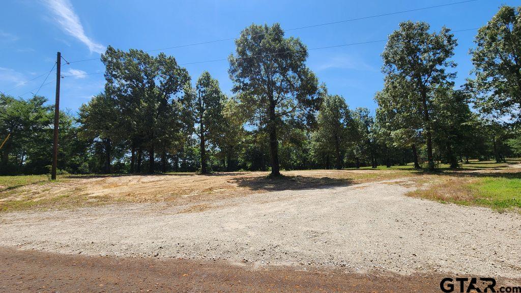 151 Bluewood Rd Property Photo 13