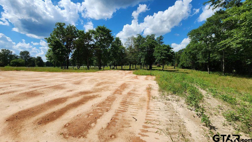 151 Bluewood Rd Property Photo 17