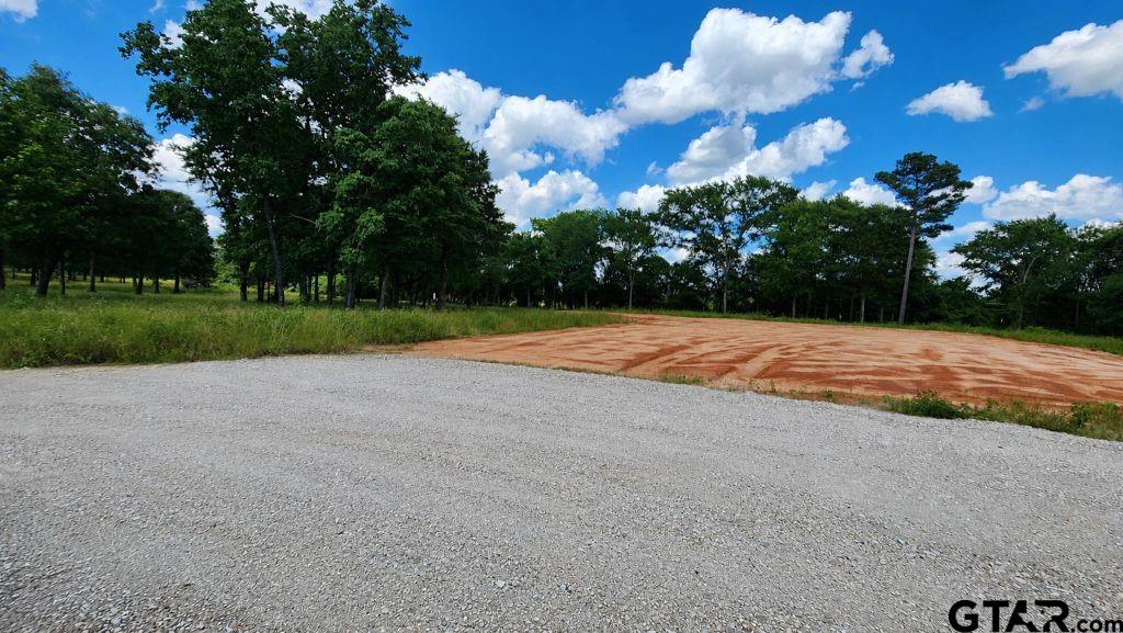 151 Bluewood Rd Property Photo 18