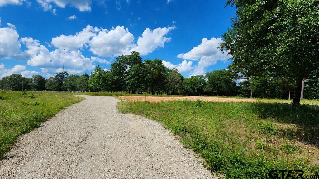 151 Bluewood Rd Property Photo 20
