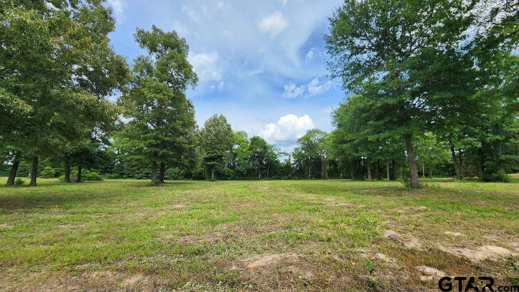 151 Bluewood Rd Property Photo 21