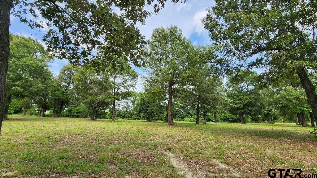 151 Bluewood Rd Property Photo 22