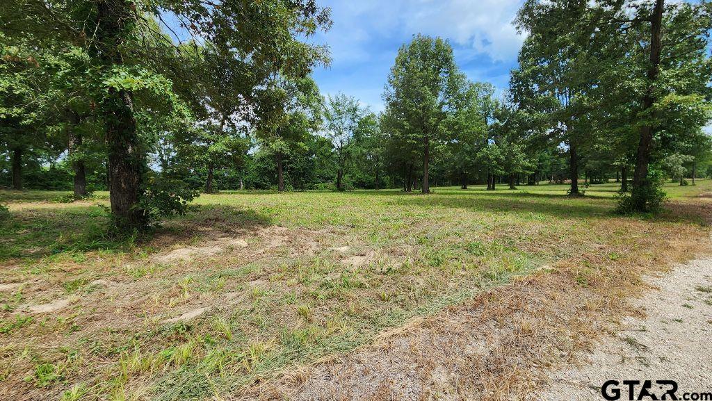 151 Bluewood Rd Property Photo 23