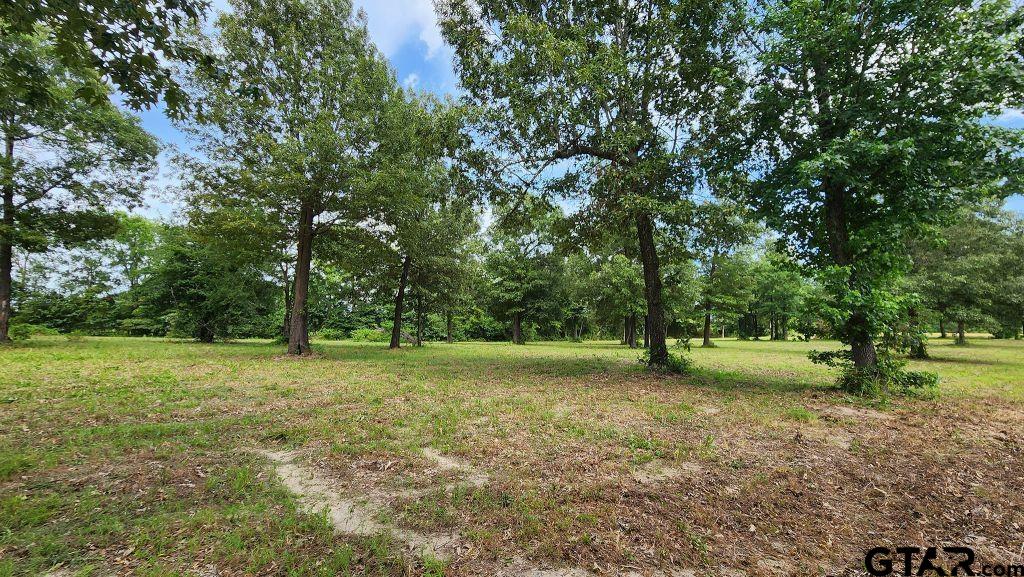 151 Bluewood Rd Property Photo 24