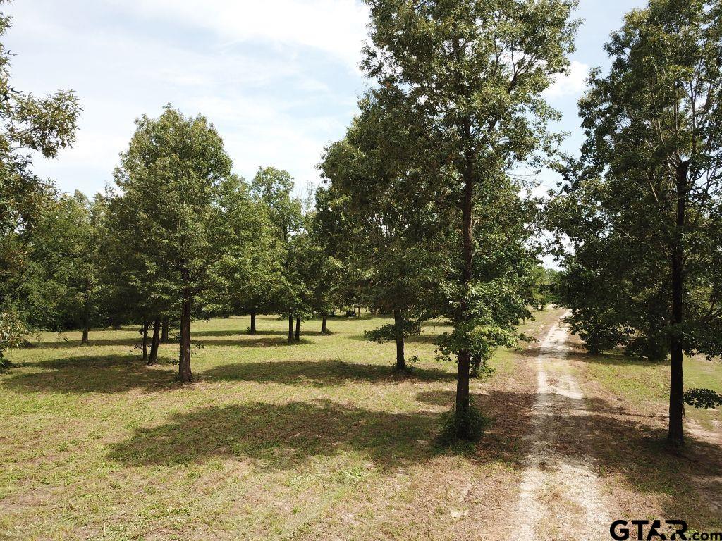 151 Bluewood Rd Property Photo 25
