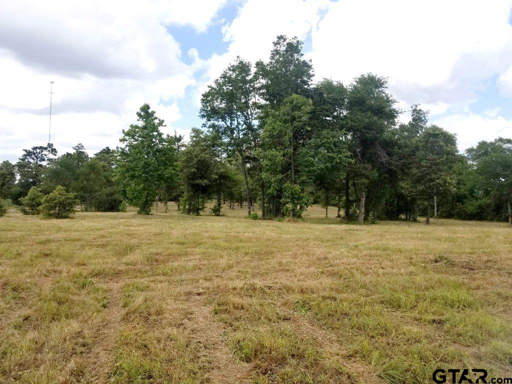 151 Bluewood Rd Property Photo 26