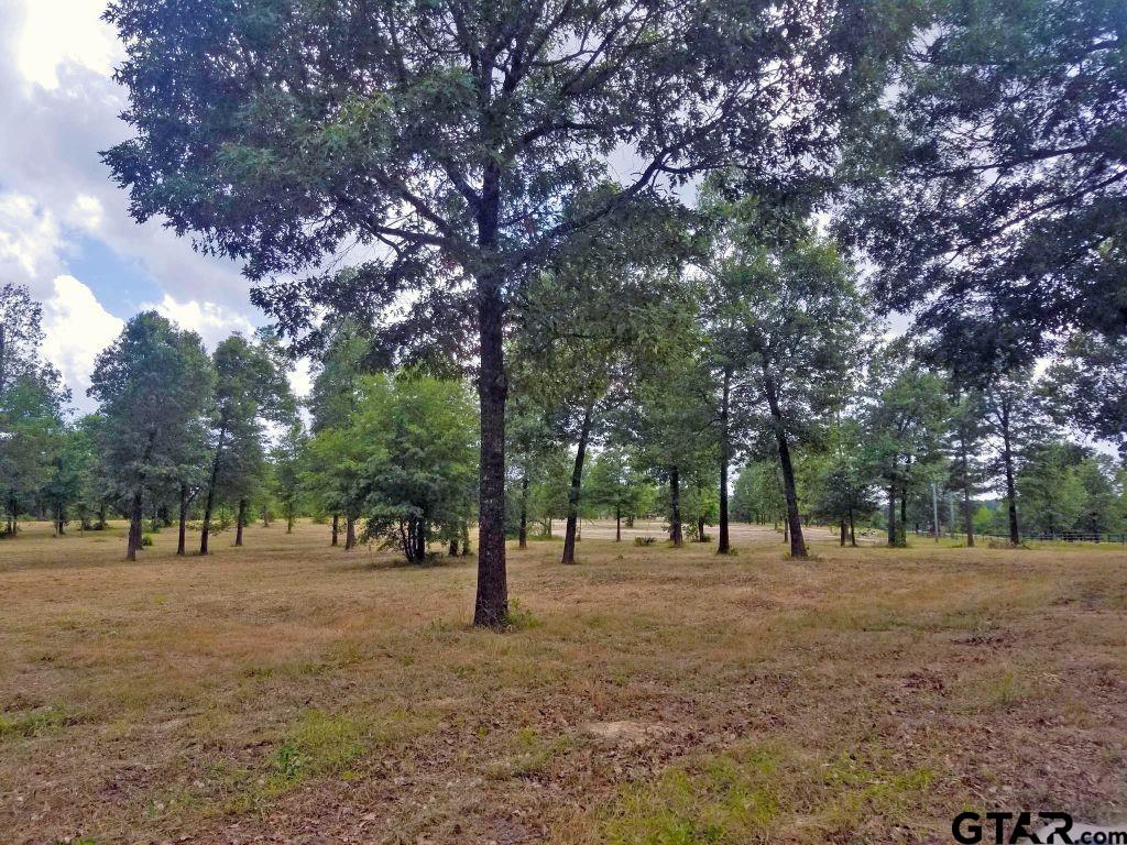 151 Bluewood Rd Property Photo 27