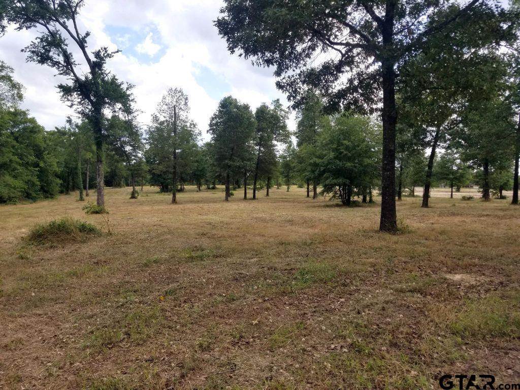 151 Bluewood Rd Property Photo 28