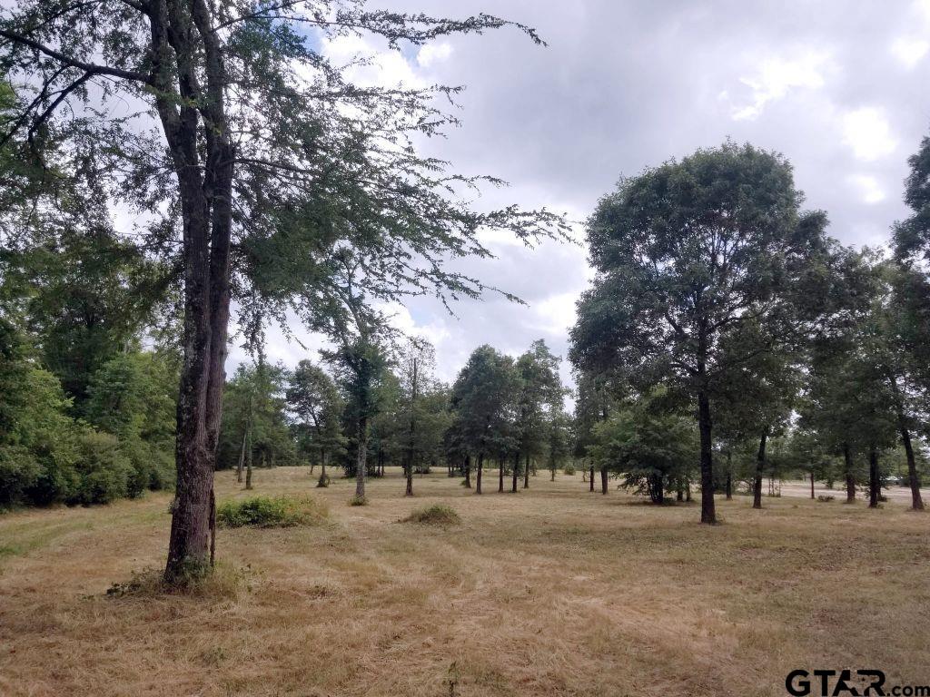 151 Bluewood Rd Property Photo 29