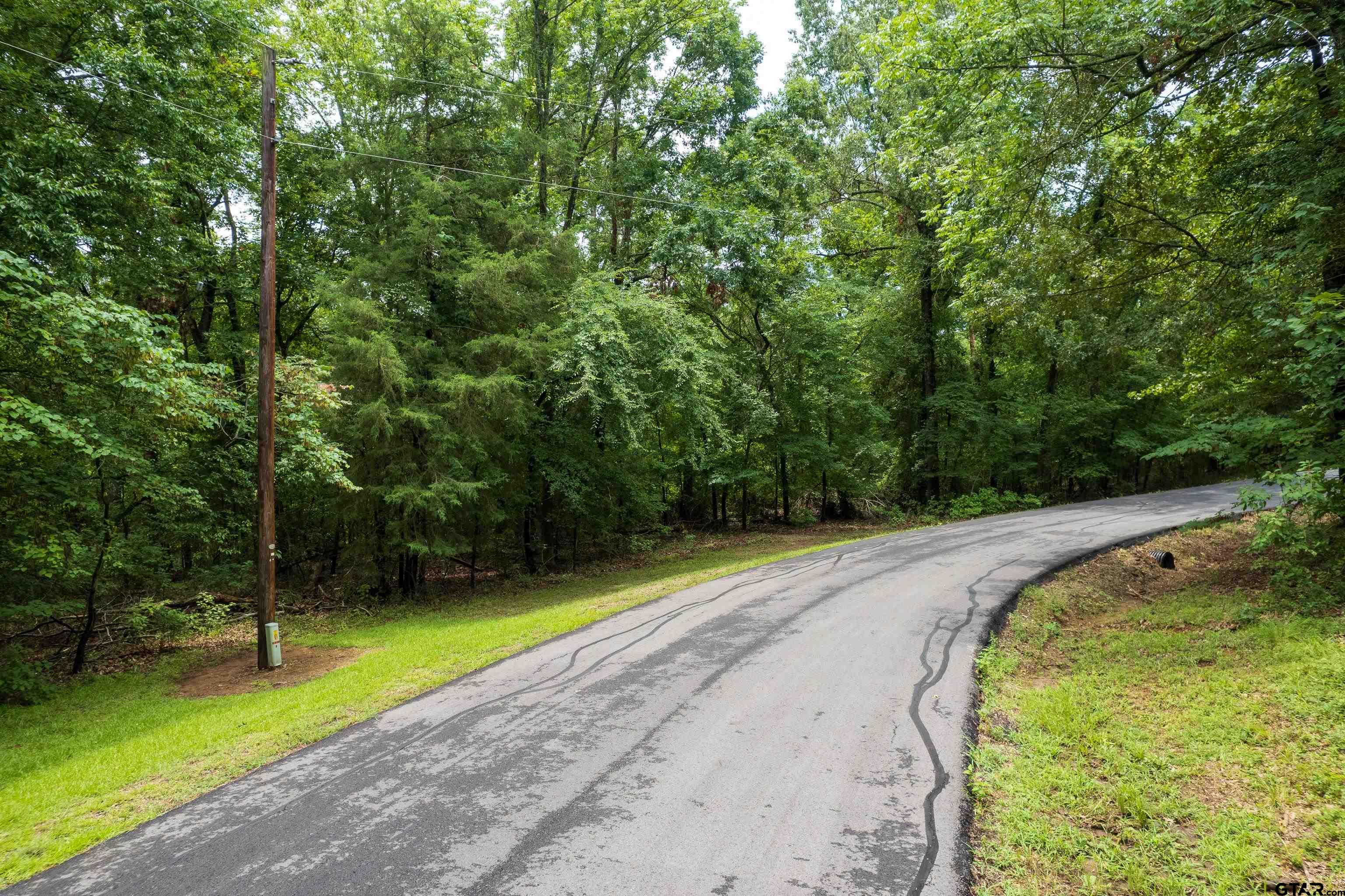 Lot 33 Spring Creek Drive Property Photo 5