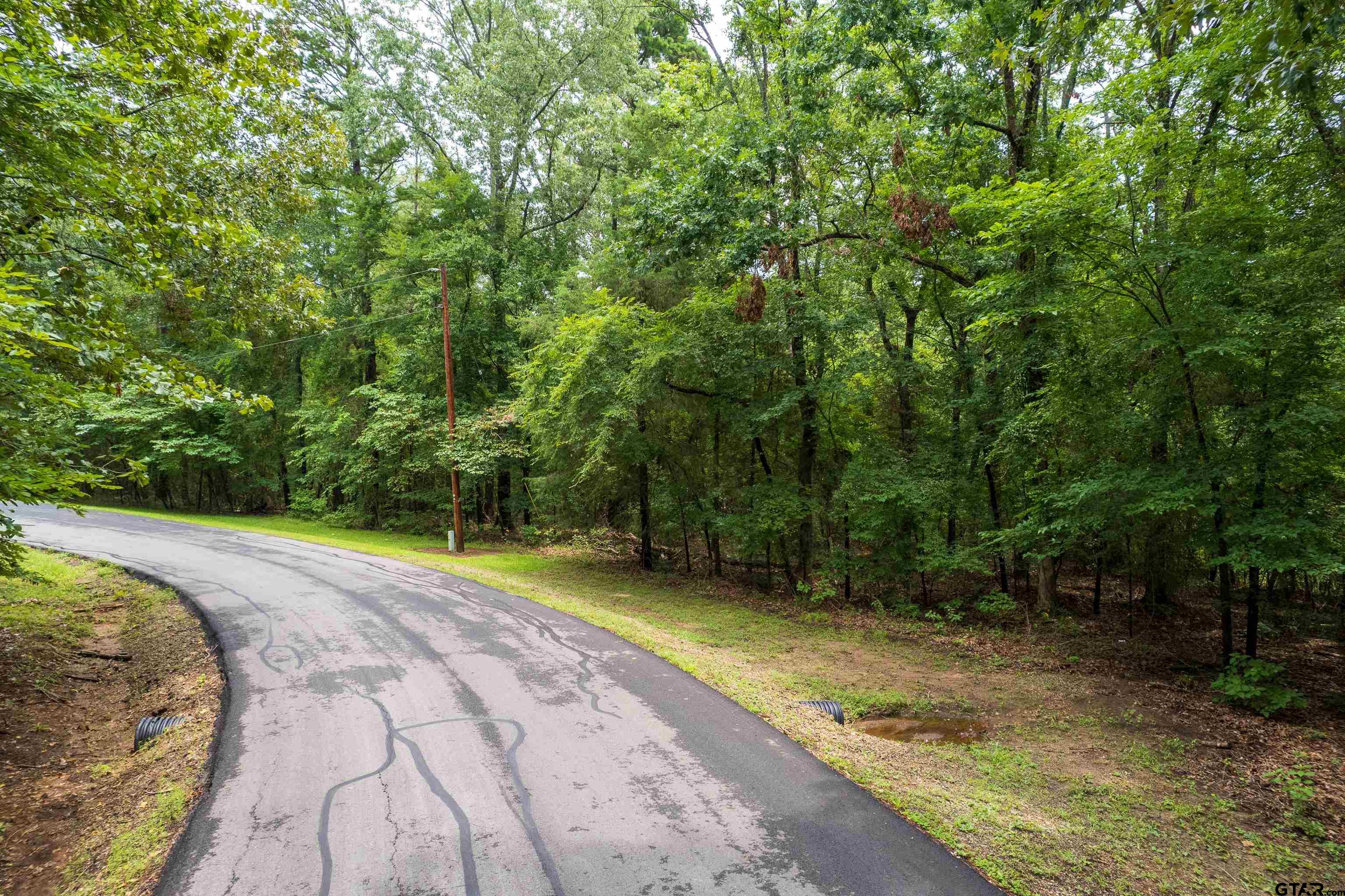 Lot 33 Spring Creek Drive Property Photo 6