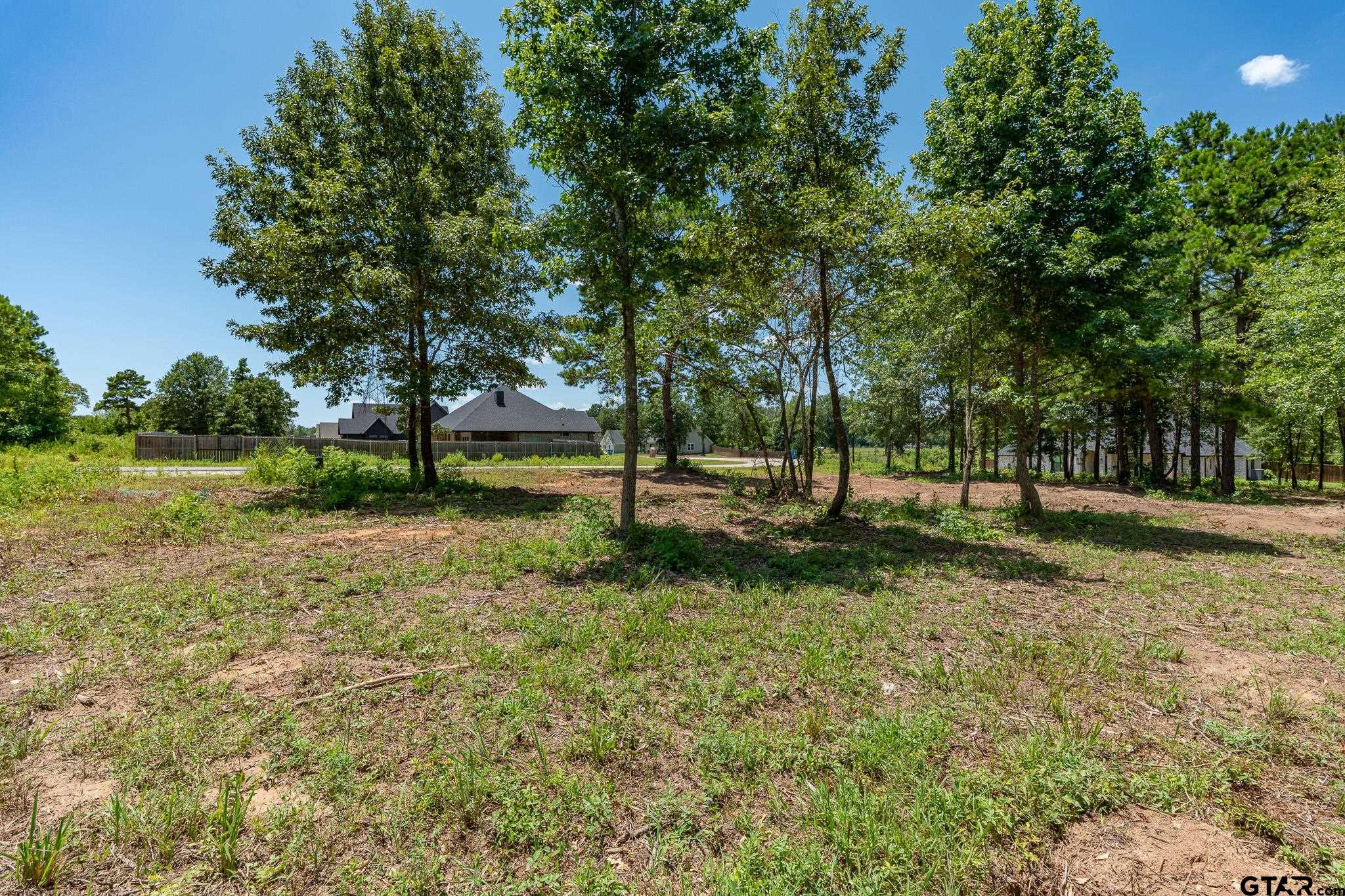 21019 Patriot Circle Property Photo 3