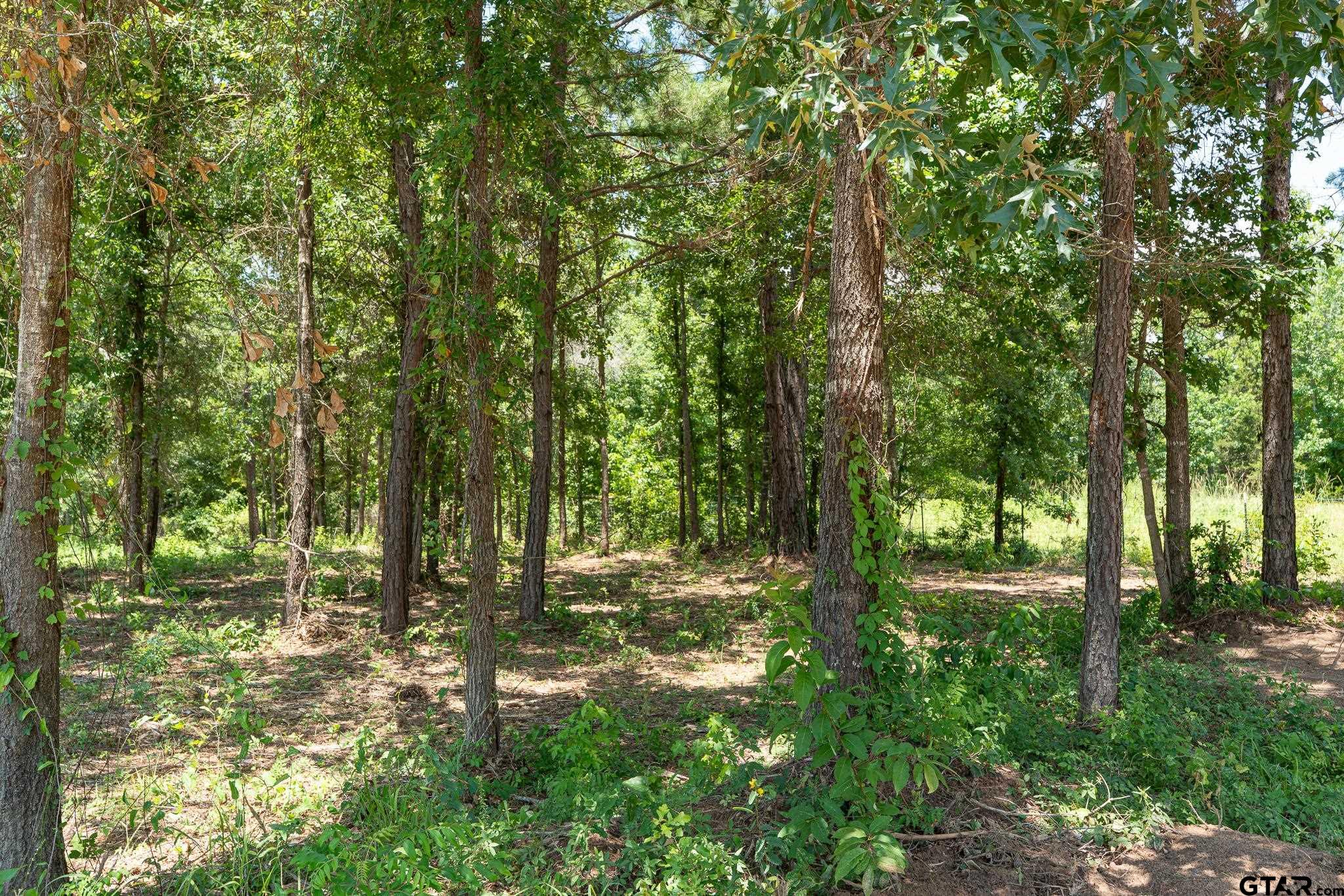 21019 Patriot Circle Property Photo 13