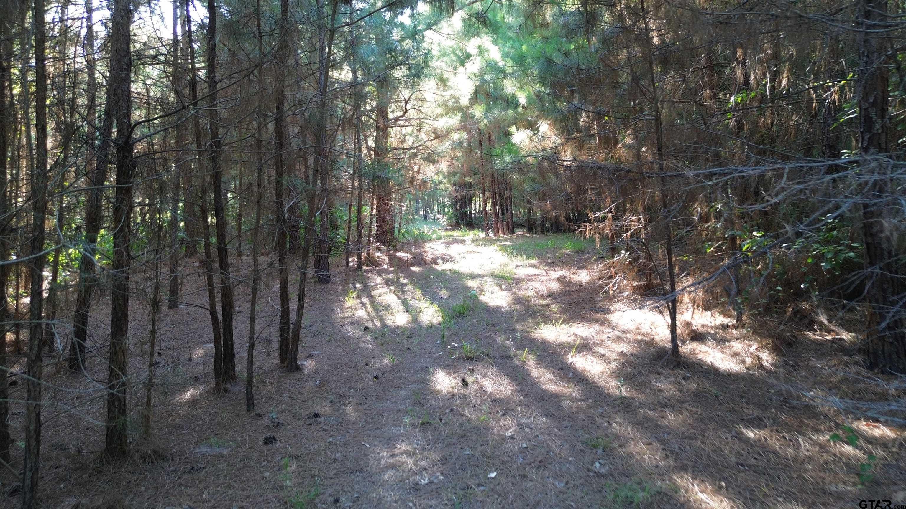 511 Cr 112 Property Photo 31