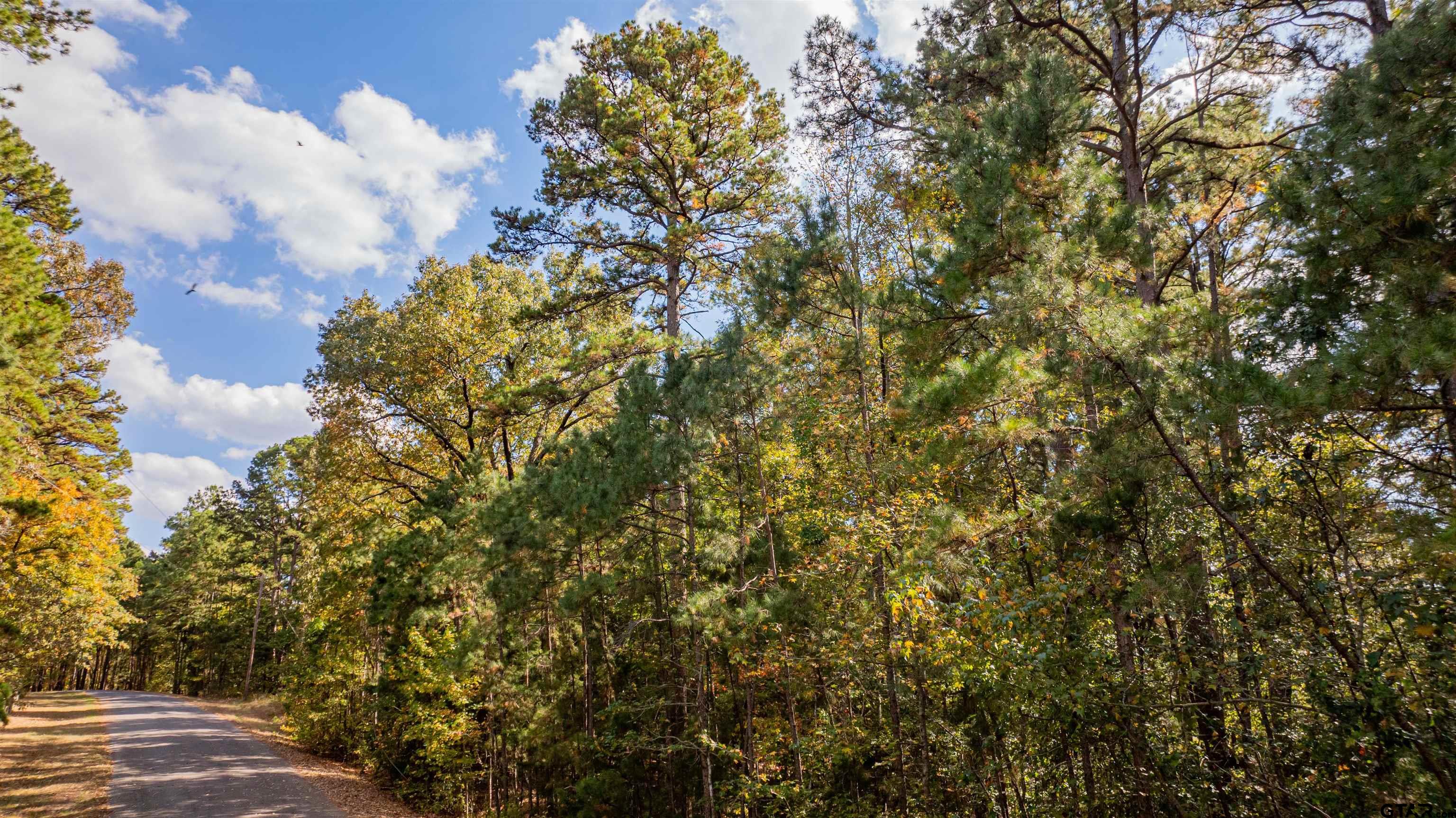 Tbd Cr 4558 Property Photo 12