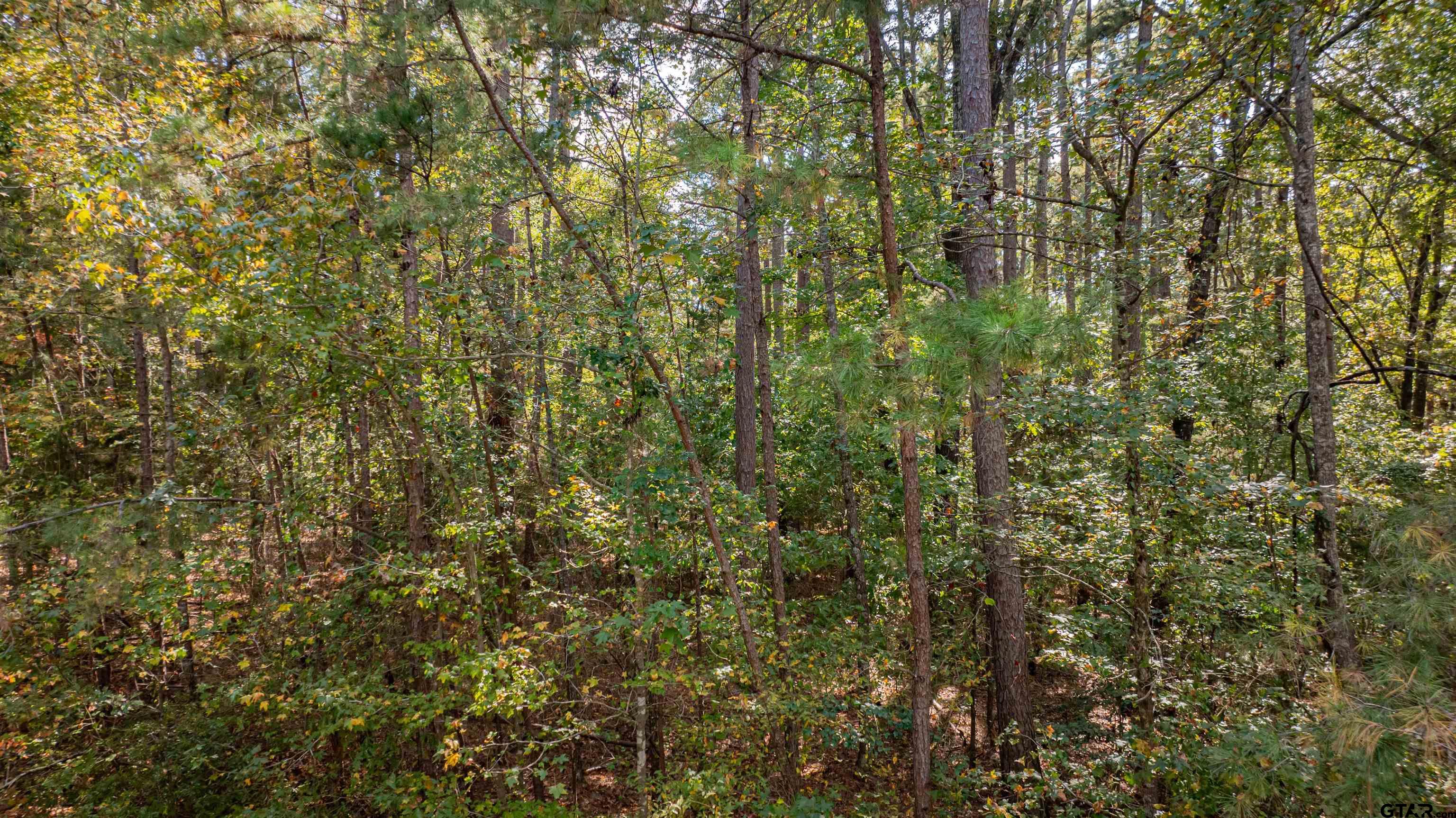 Tbd Cr 4558 Property Photo 13