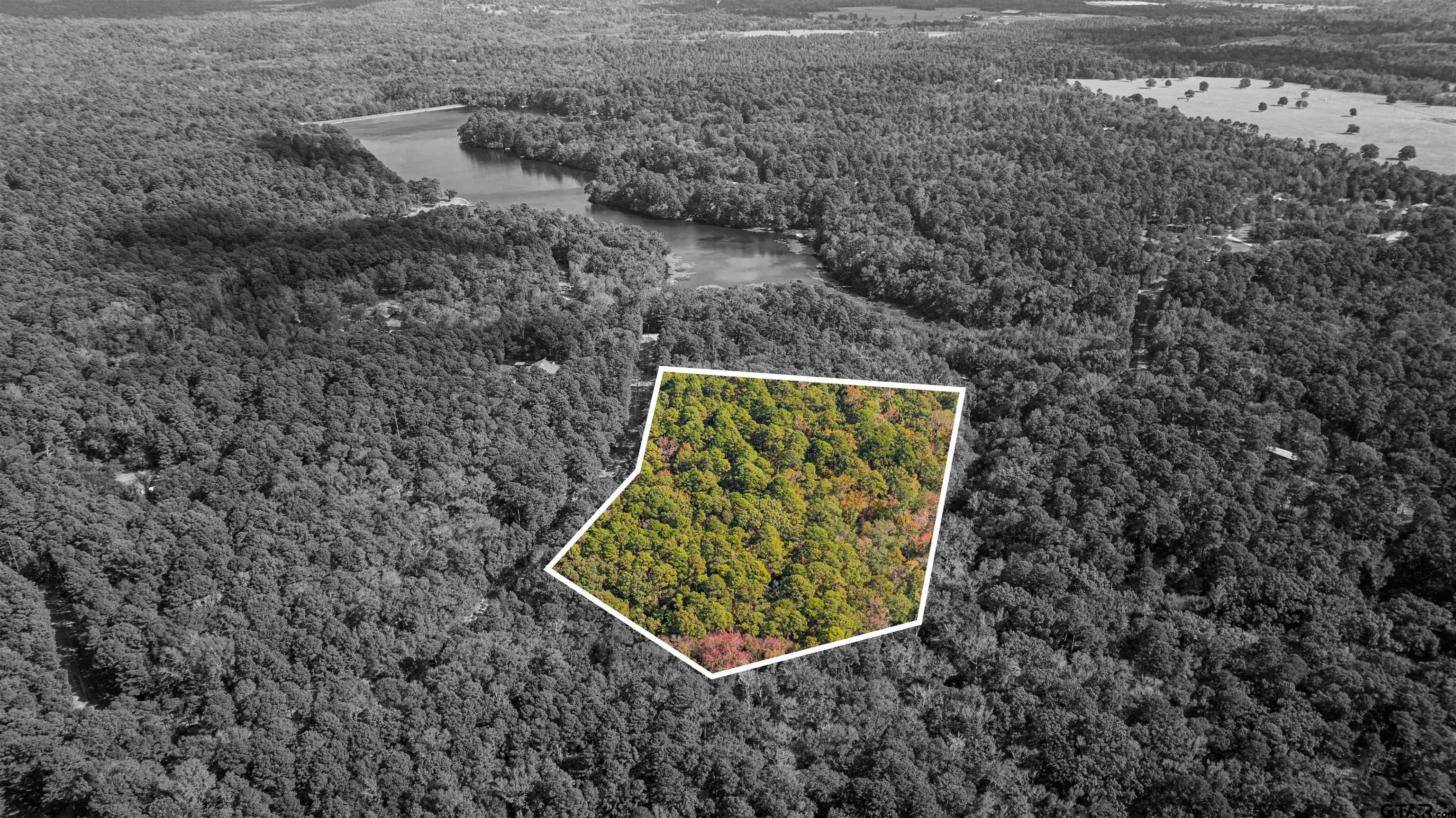 Tbd Cr 4558 Property Photo 18