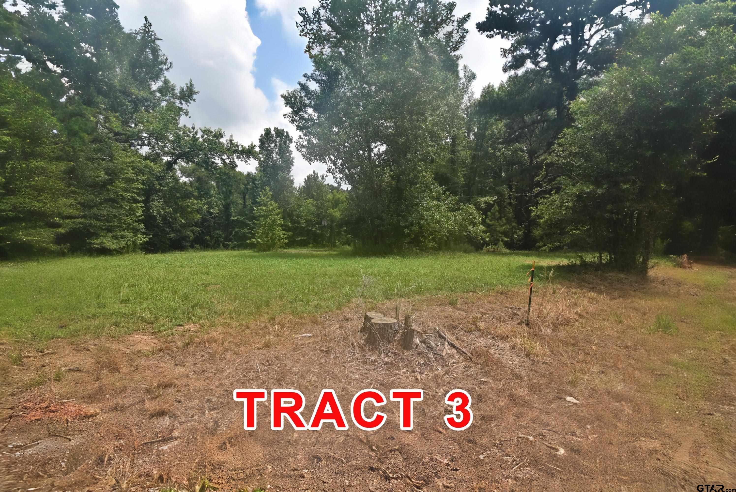 Tract 3 County Road 3117 Property Photo 6