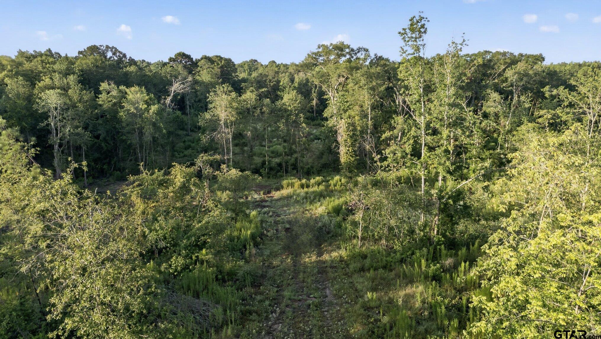 Tbd 21 Acres Cr 3116 Property Photo 3