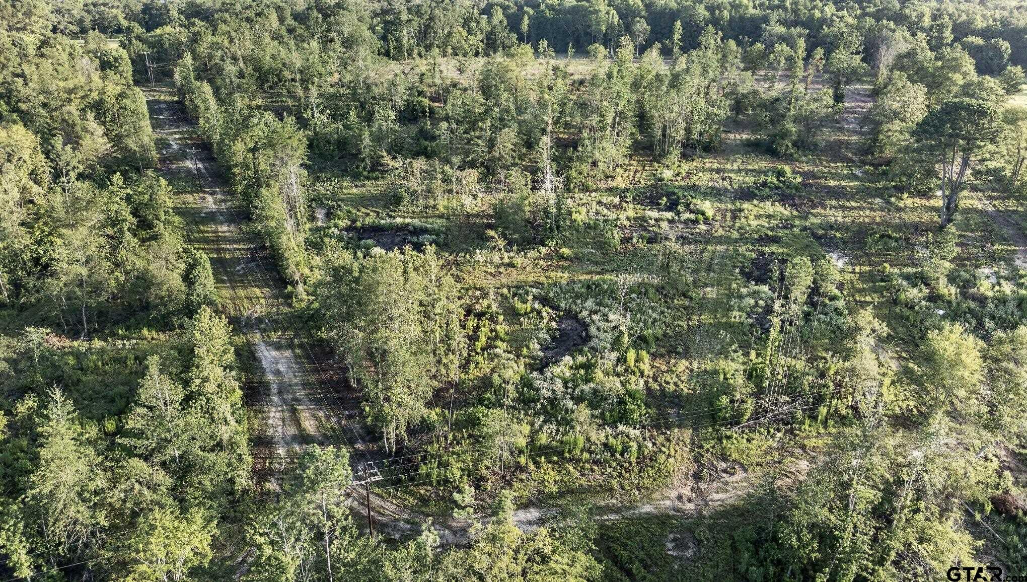 Tbd 21 Acres Cr 3116 Property Photo 4