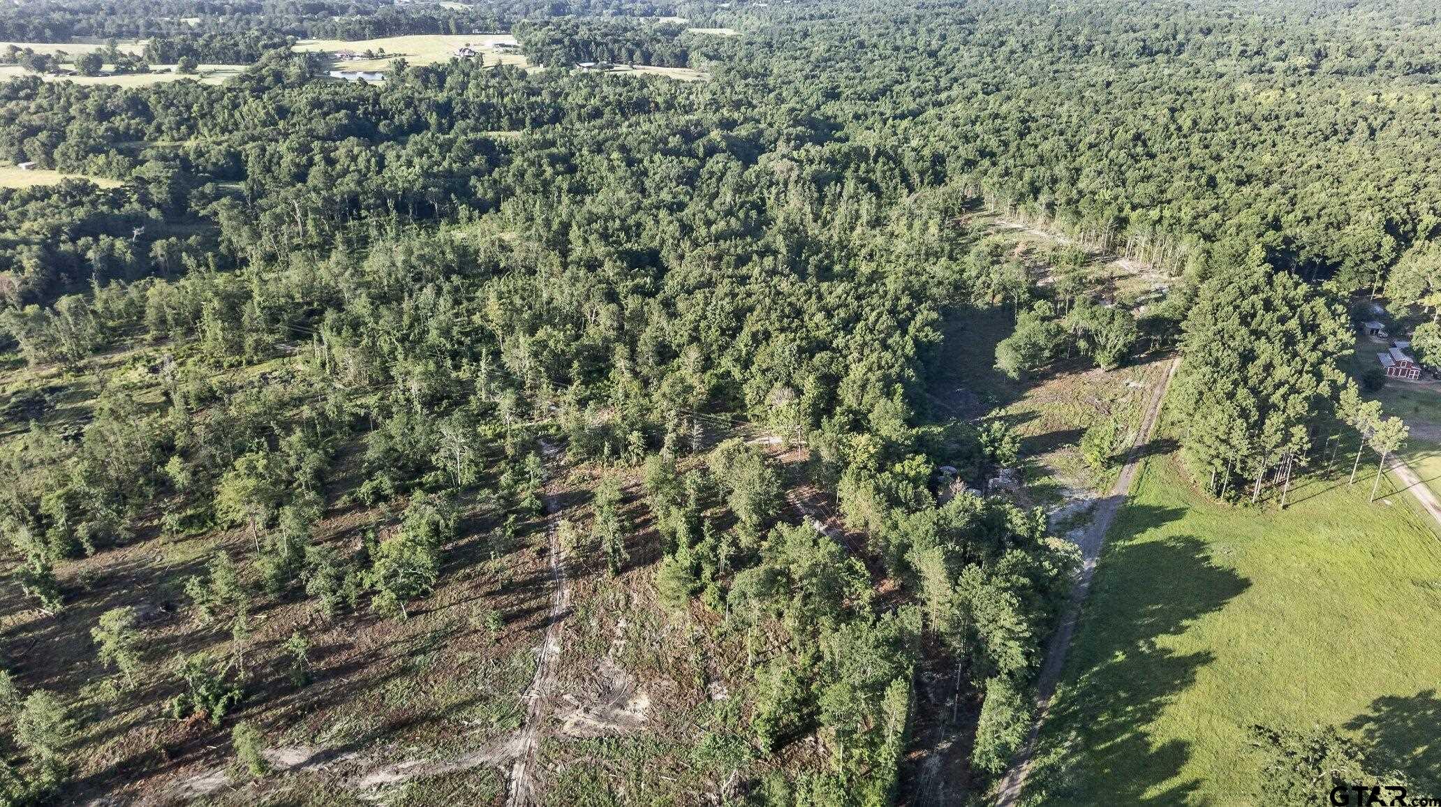 Tbd 21 Acres Cr 3116 Property Photo 6