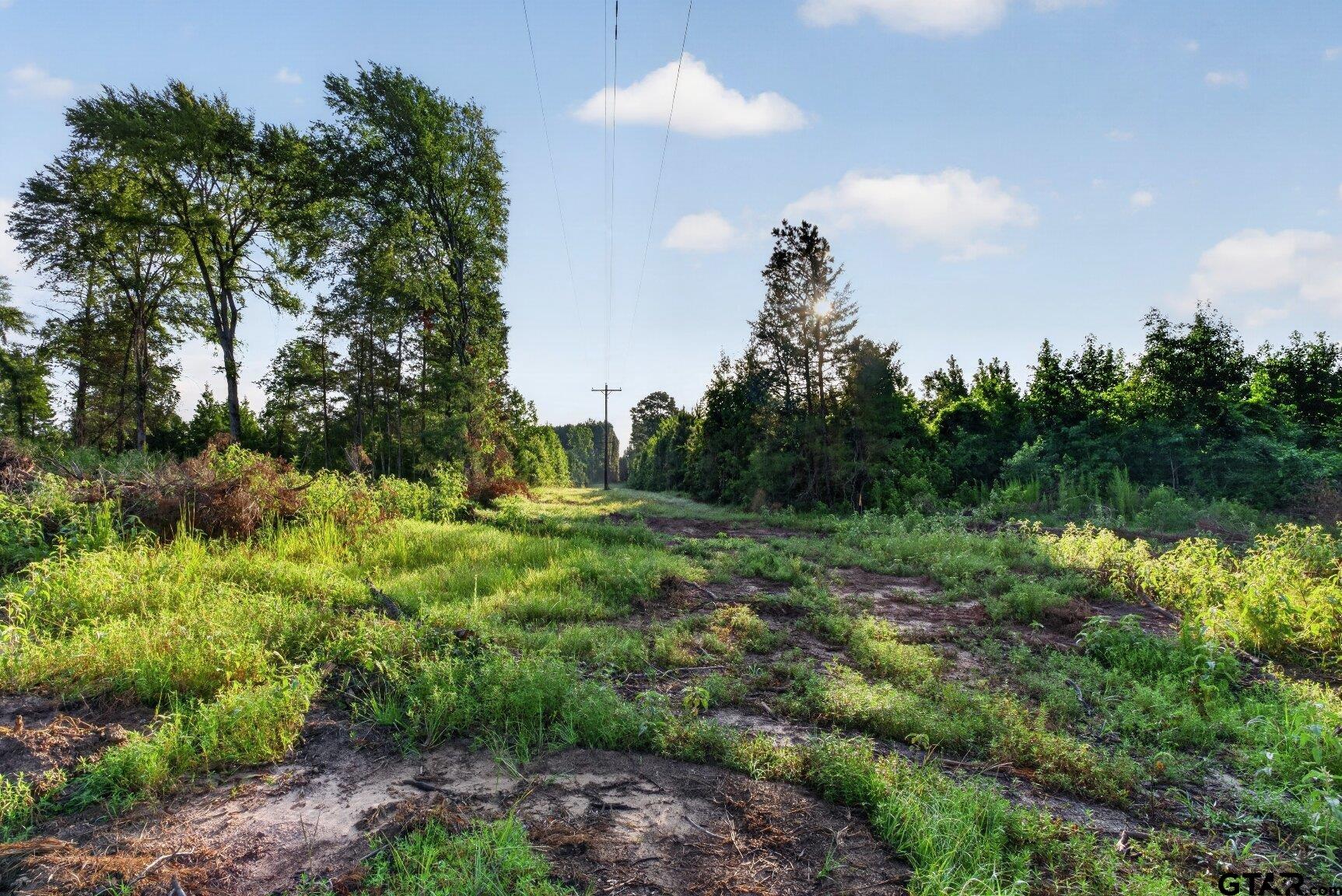 Tbd 21 Acres Cr 3116 Property Photo 9