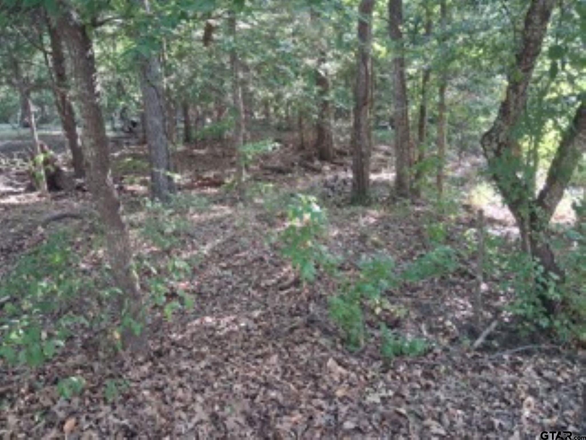 Tbd Summit Ridge Property Photo 1