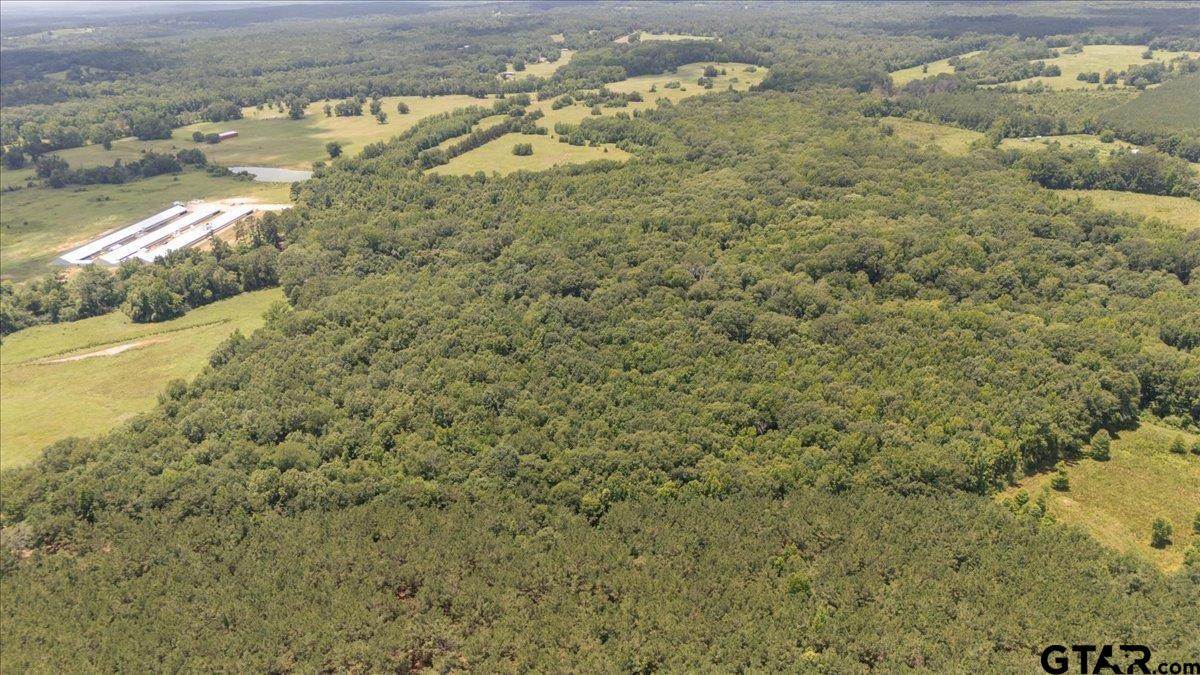 Tbd 38.110 Ac Cr 3206 Property Photo 3