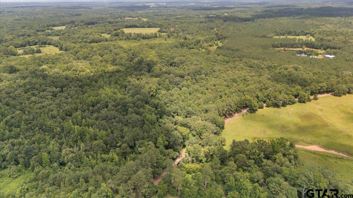 Tbd 38.110 Ac Cr 3206 Property Photo 4