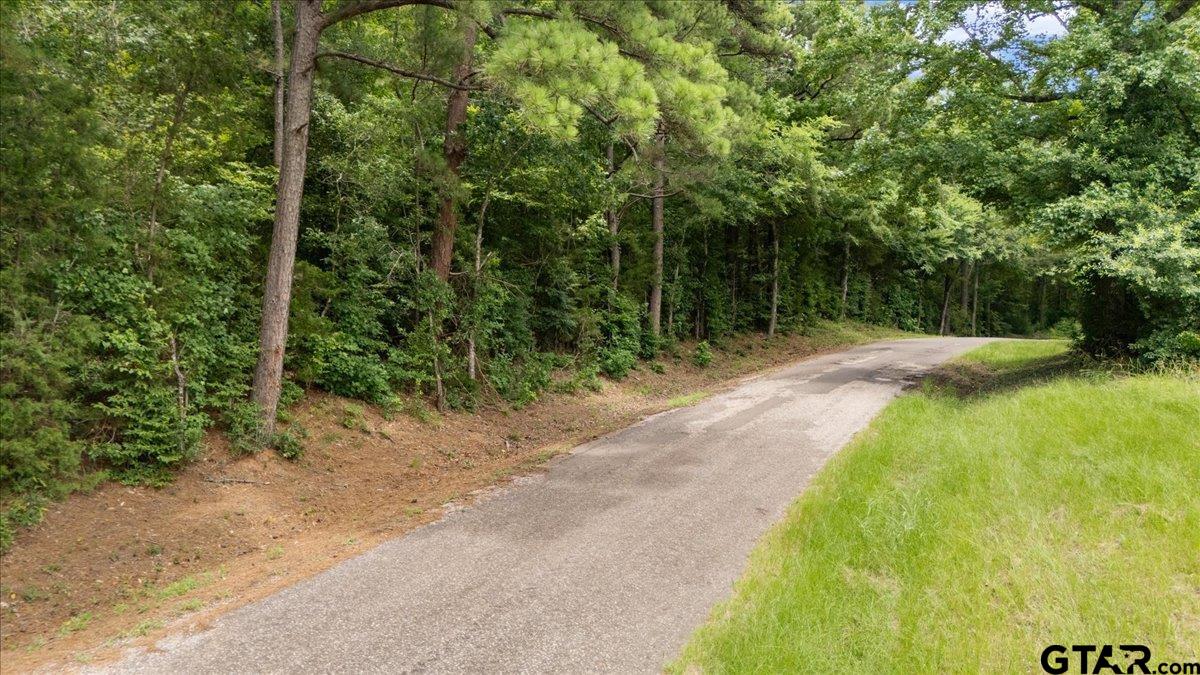 Tbd 38.110 Ac Cr 3206 Property Photo 6