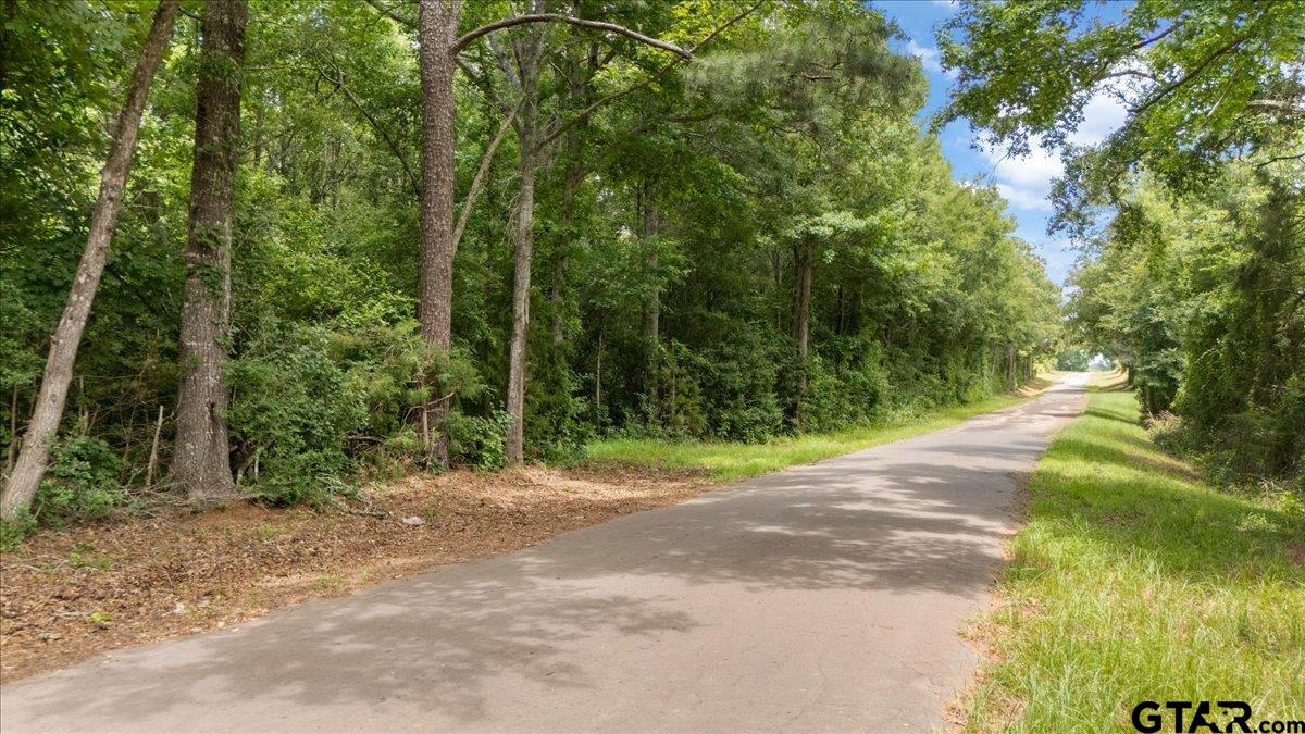 Tbd 38.110 Ac Cr 3206 Property Photo 7