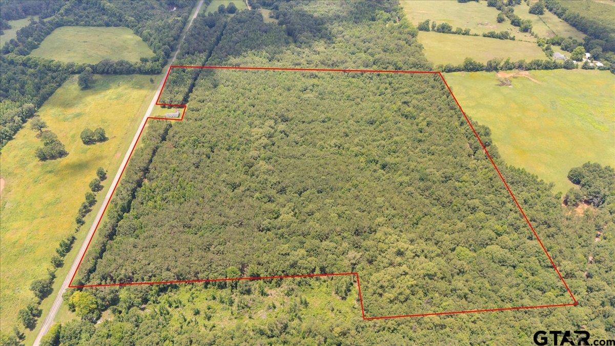 Tbd 50.795 Ac Fm 2496 Property Photo 2
