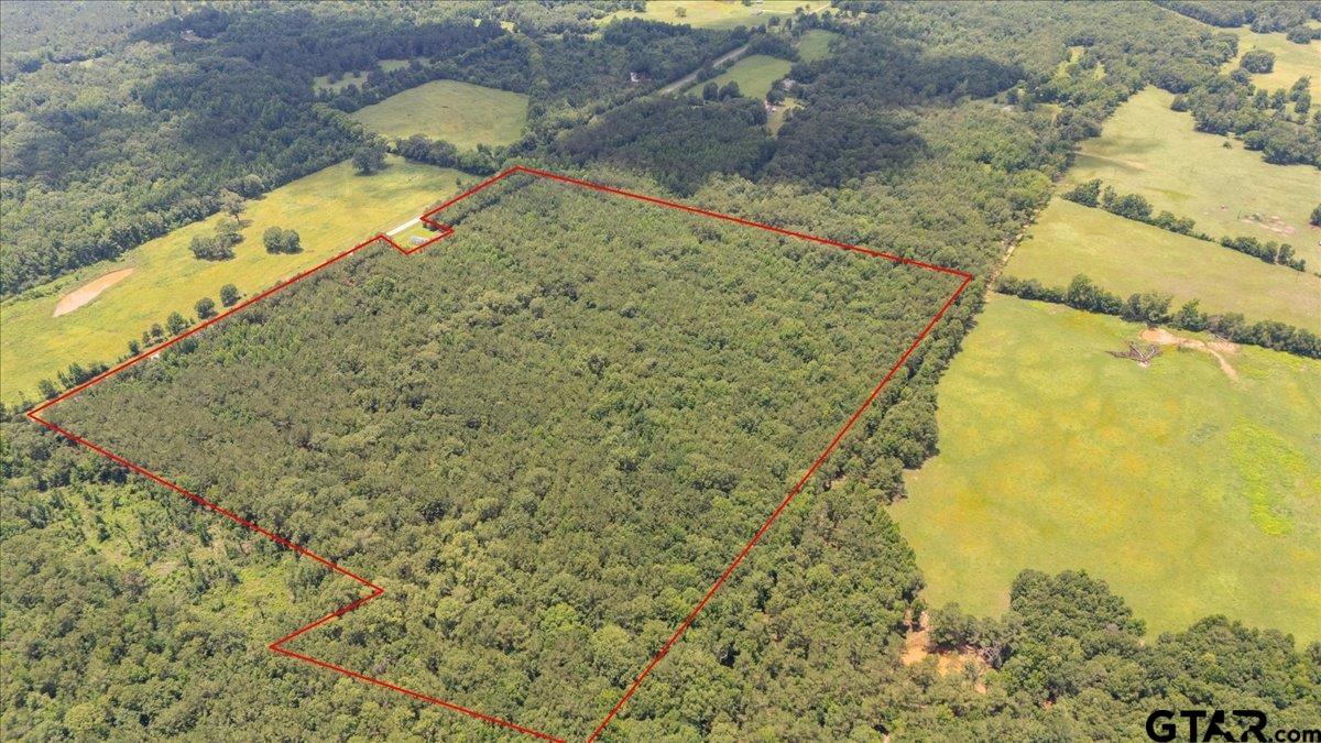 Tbd 50.795 Ac Fm 2496 Property Photo 3
