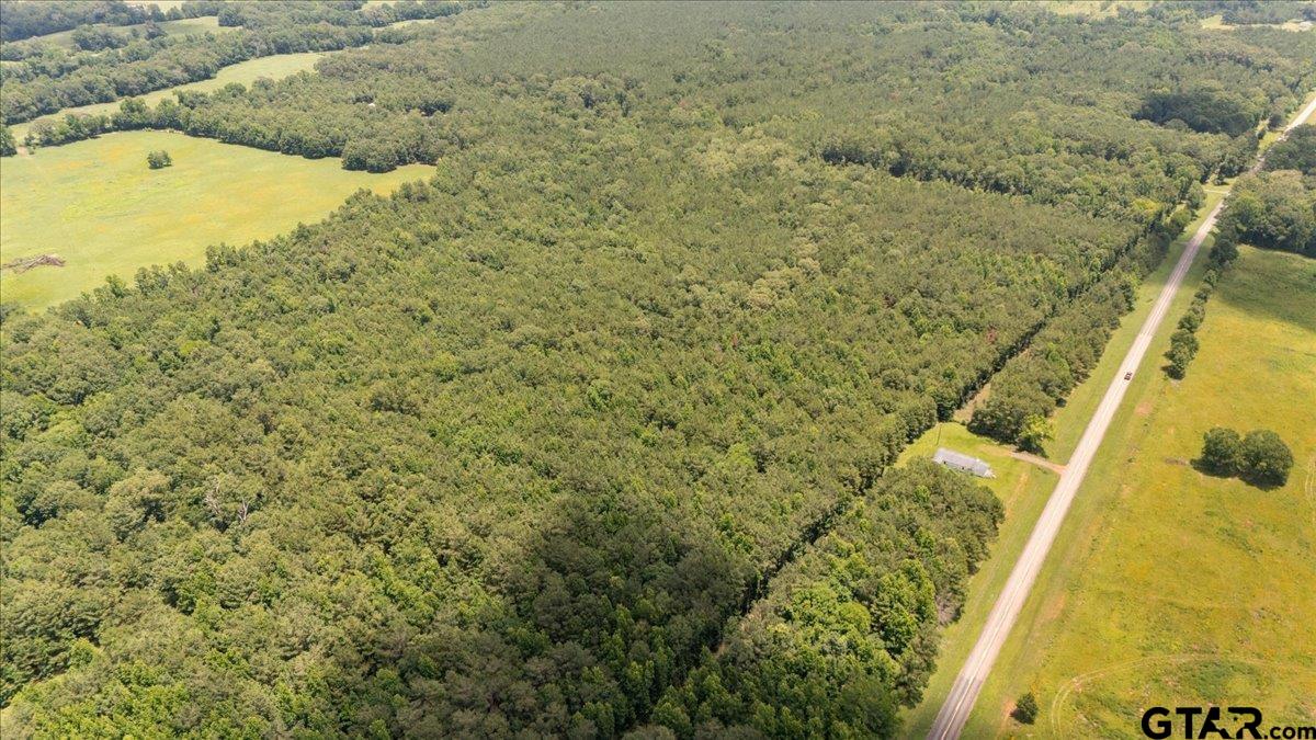 Tbd 50.795 Ac Fm 2496 Property Photo 4