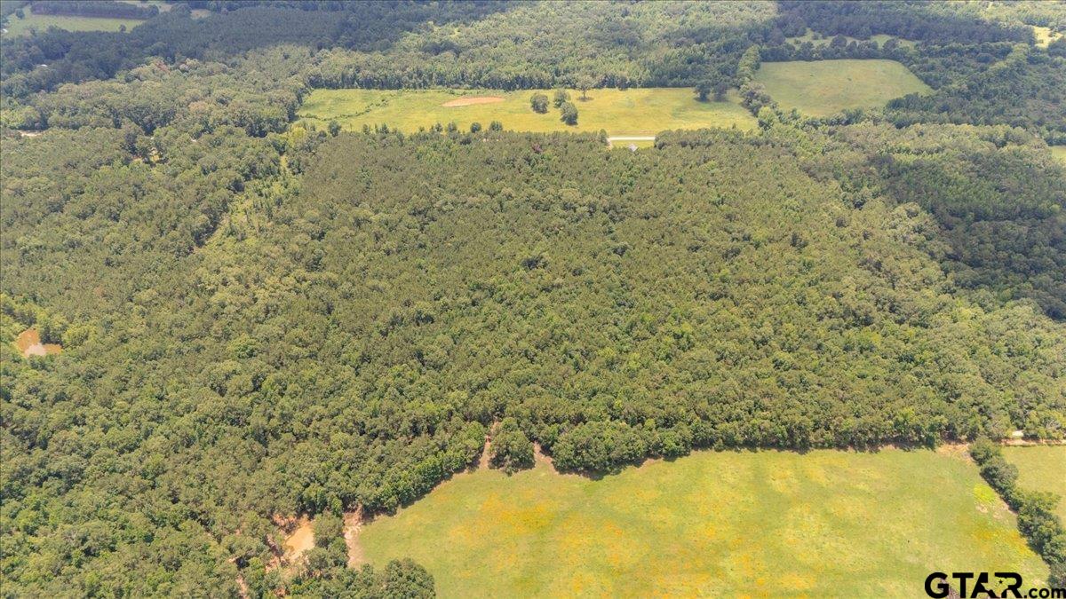 Tbd 50.795 Ac Fm 2496 Property Photo 5