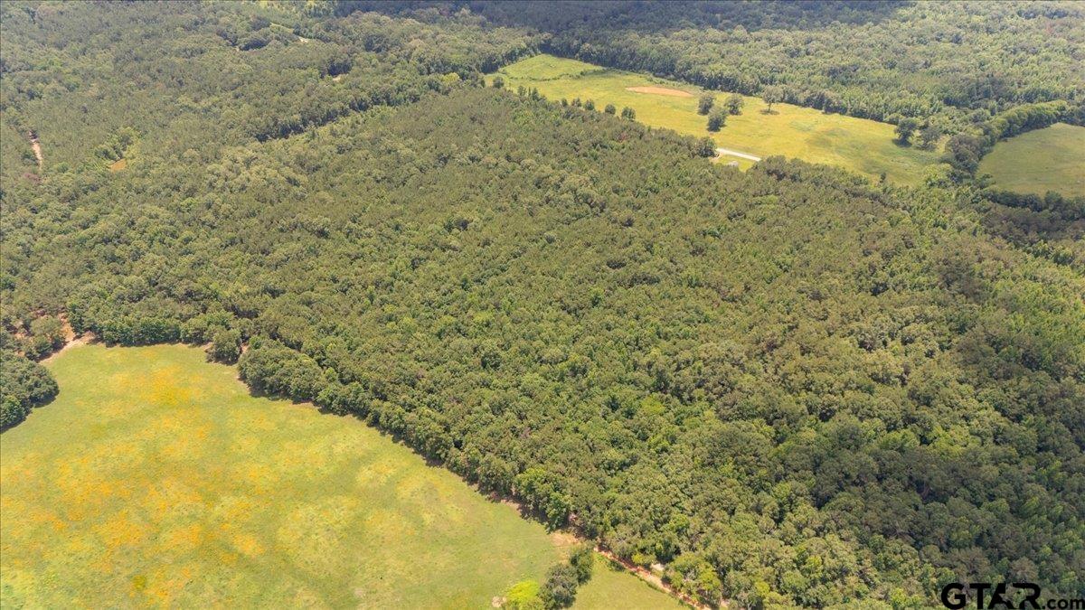 Tbd 50.795 Ac Fm 2496 Property Photo 6