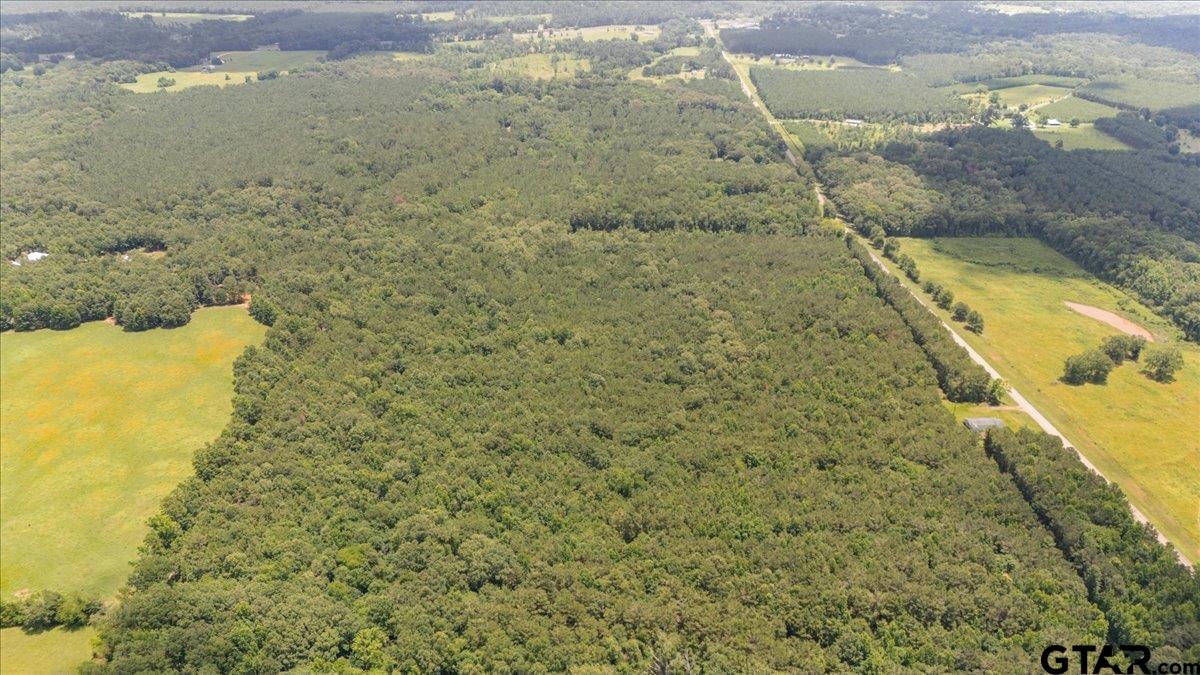 Tbd 50.795 Ac Fm 2496 Property Photo 7