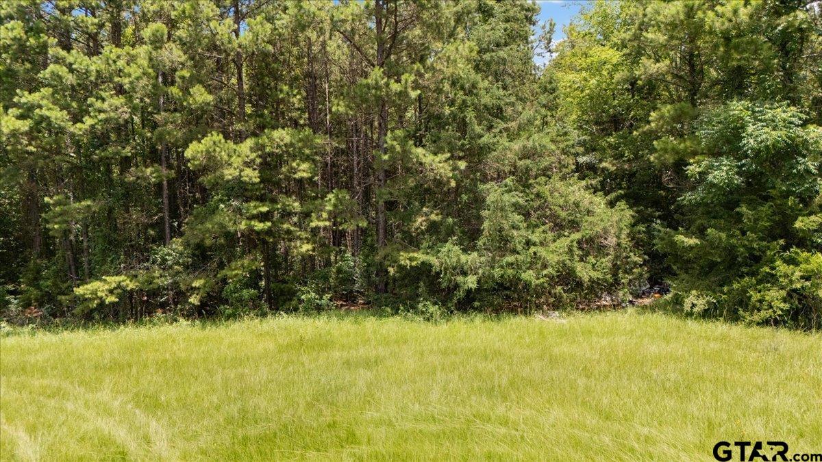 Tbd 50.795 Ac Fm 2496 Property Photo 8