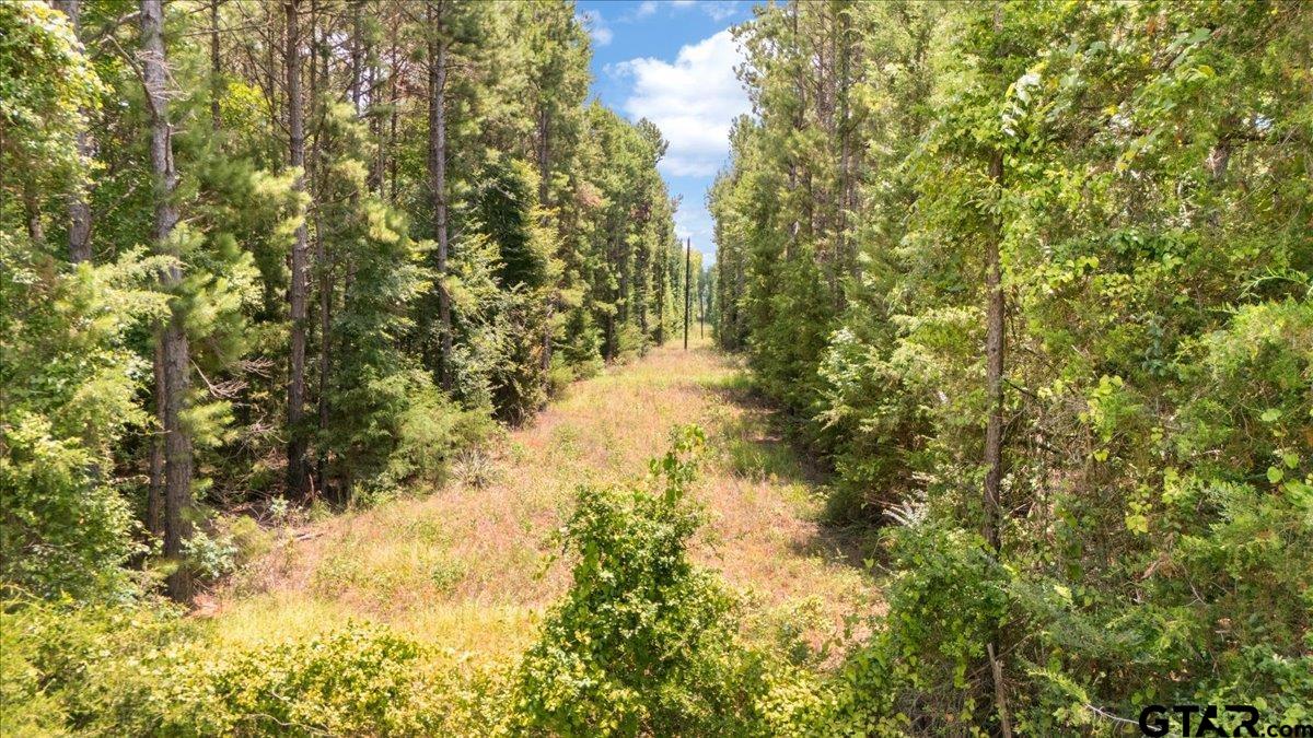 Tbd 50.795 Ac Fm 2496 Property Photo 9
