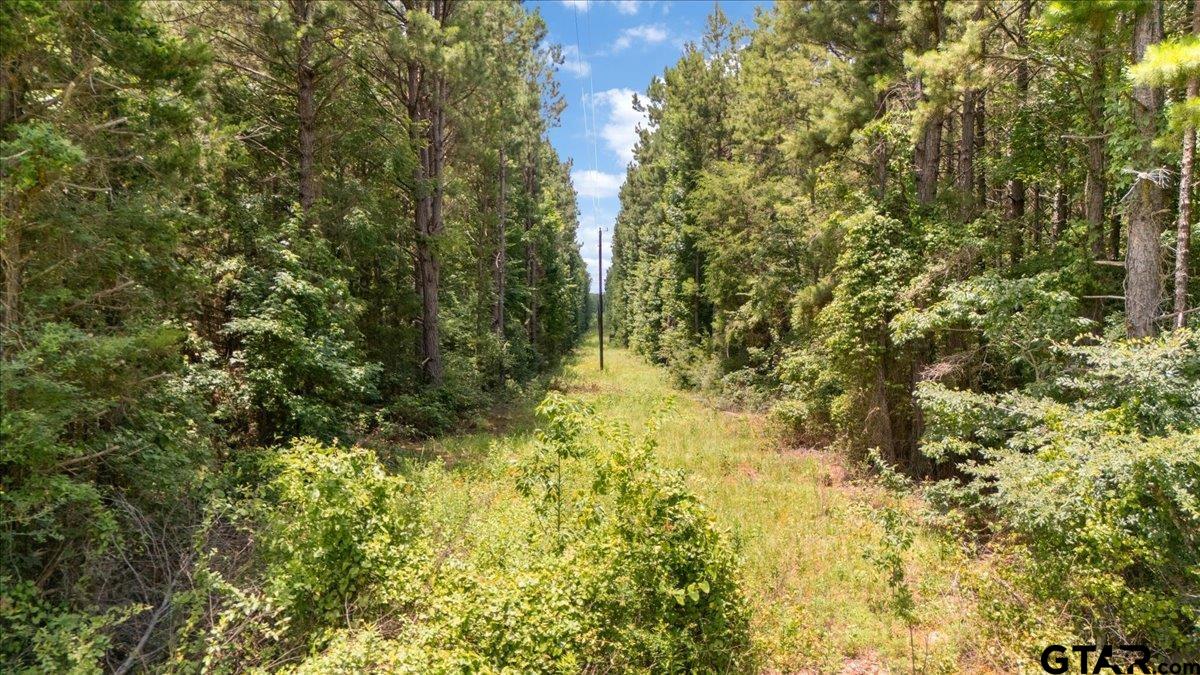 Tbd 50.795 Ac Fm 2496 Property Photo 10