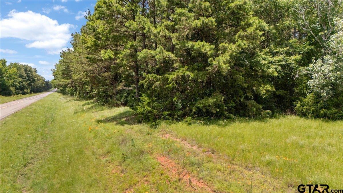 Tbd 50.795 Ac Fm 2496 Property Photo 11