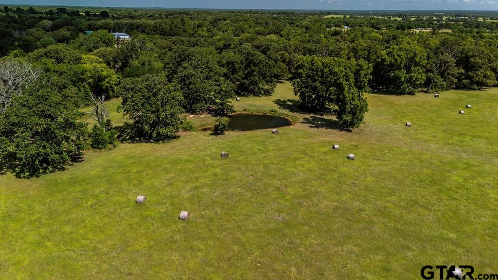Tbd Fm 773 Property Photo 5