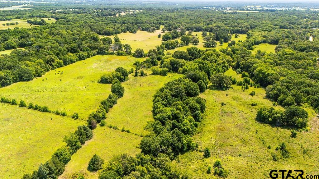 Tbd Fm 773 Property Photo 8