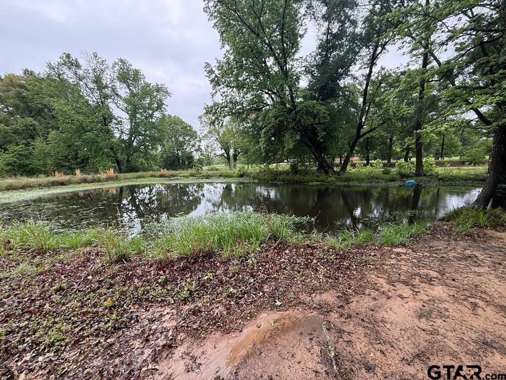 Tbd Fm 773 Property Photo 26