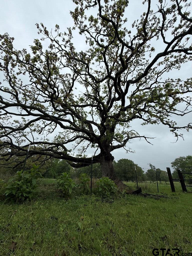 Tbd Fm 773 Property Photo 27