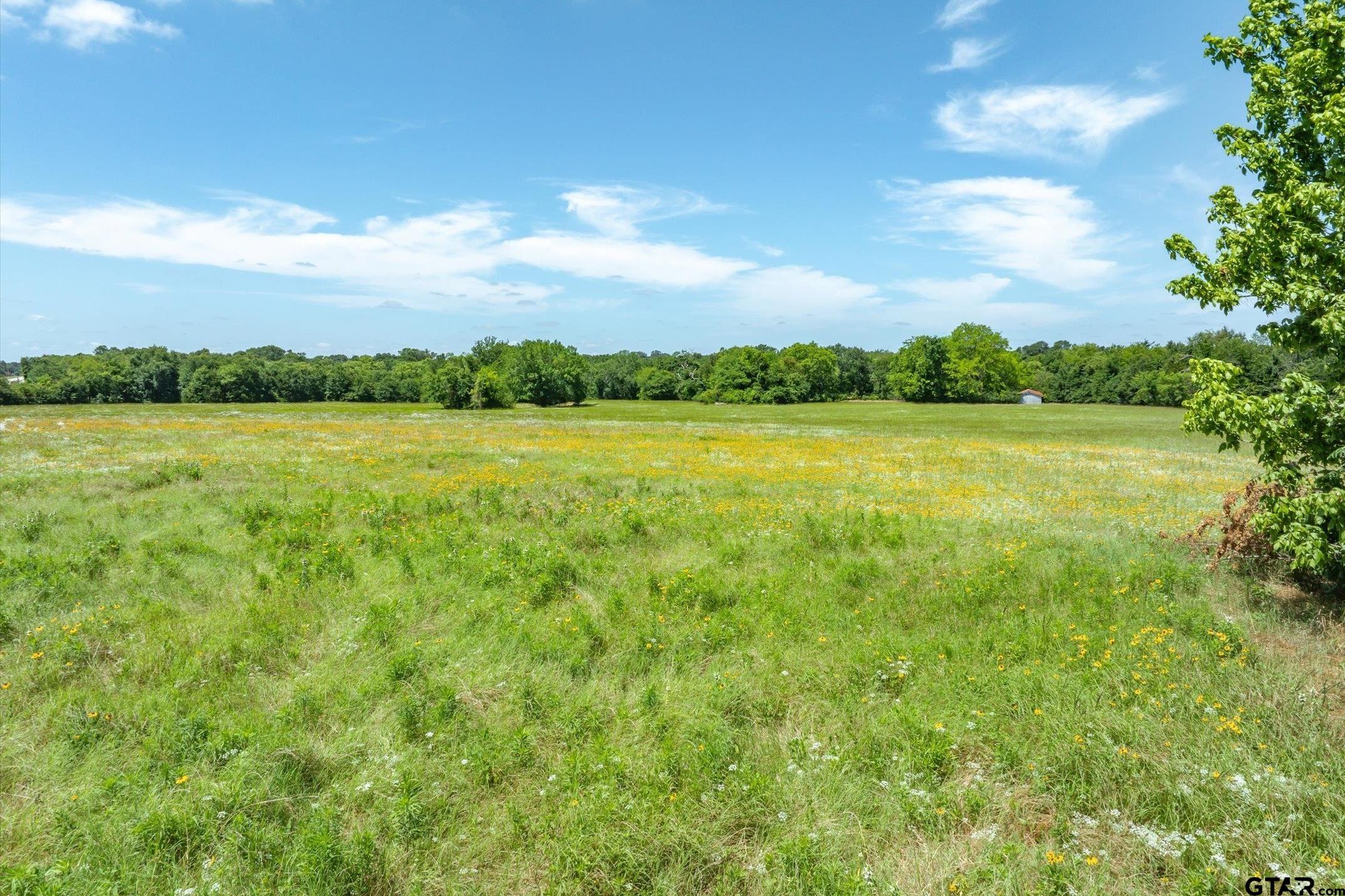 Lot 1 State Highway 19 & Rs Cr 1150 Property Photo 13